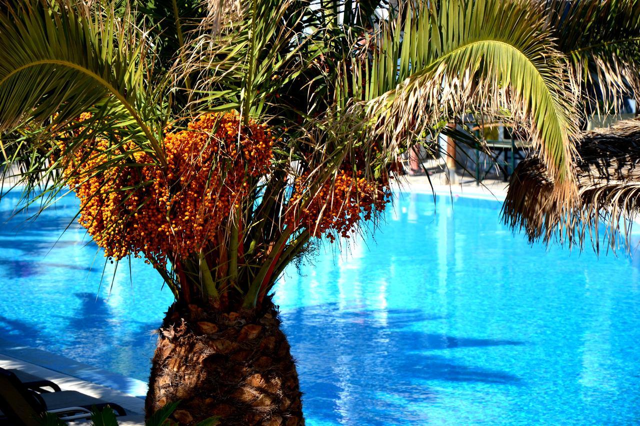 Zephyros Hotel Kamári Kültér fotó